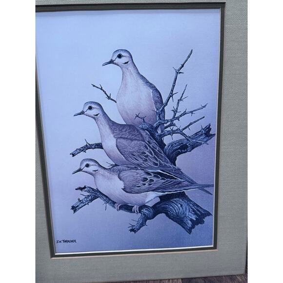 Vintage Set of J.W. Thrasher Mourning Dove &  Bob White Quail Matted Art Prints - Picture 3 of 9